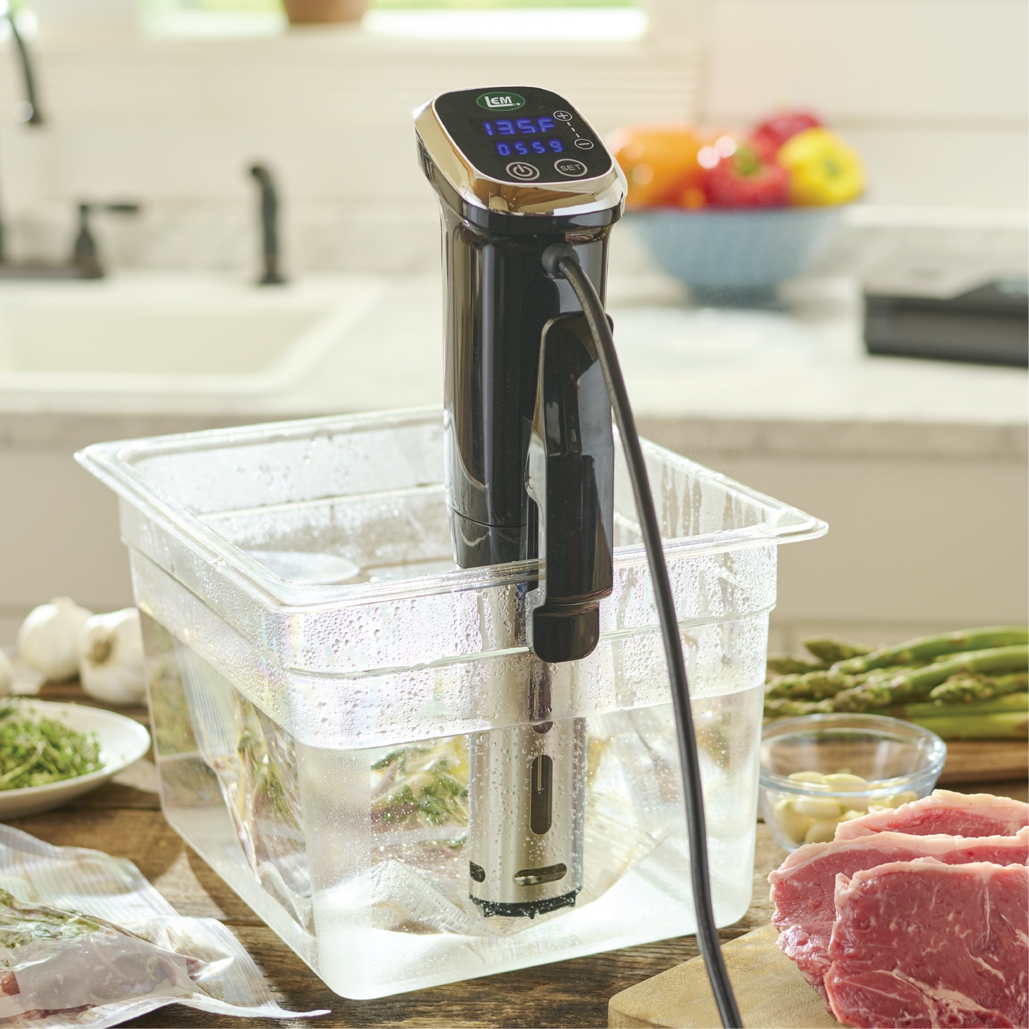 LEM Immersion Circulator - Image 3
